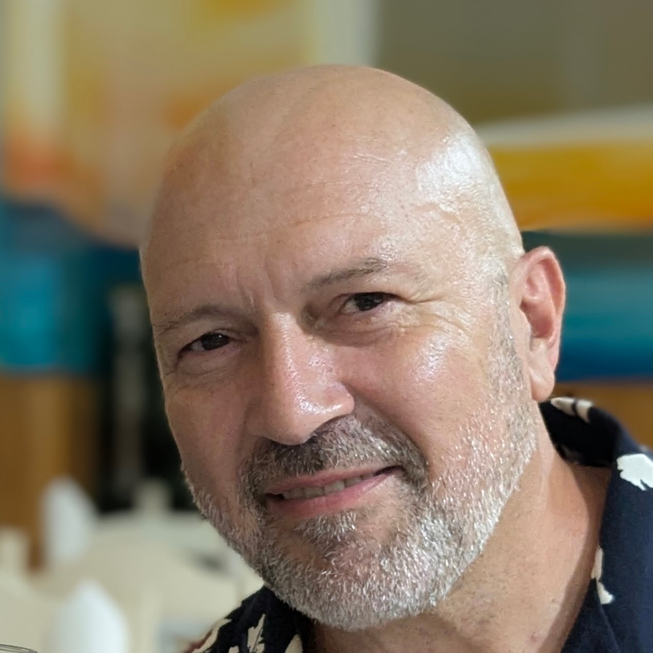 Bruno Pedro portrait